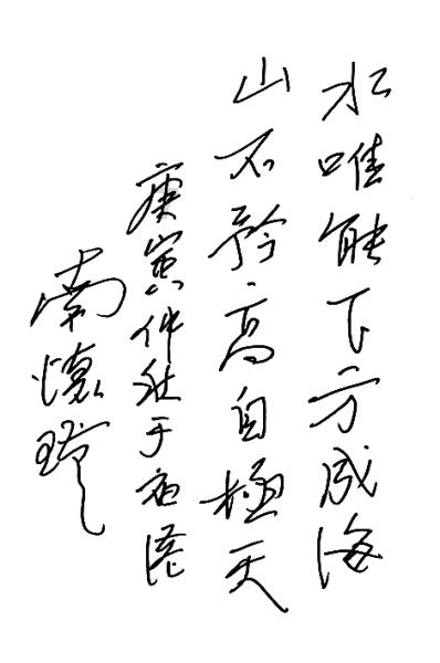 时尚POLO衫